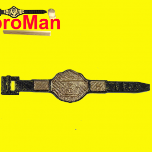 WCW / NWA World Championship Wrestling Belt