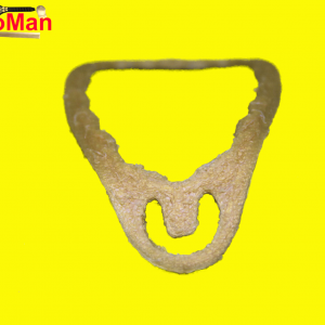 WWF Wrestling Razor Ramon Chain